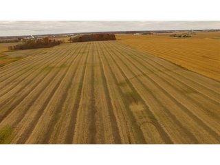 Property photo 8 - REAL ESTATE AUCTION - 336.6+/- ACRES OFFERED IN 10 TRACTS IN WHITLEY COUNTY, INDIANA